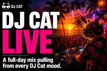 DJ Cat Live